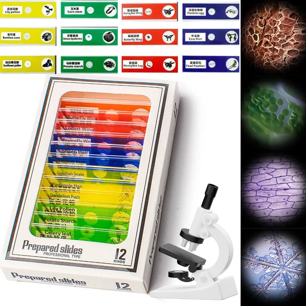 Edukacyjny Mini Mikroskop Ręczny z podświetleniem LED 60-120X