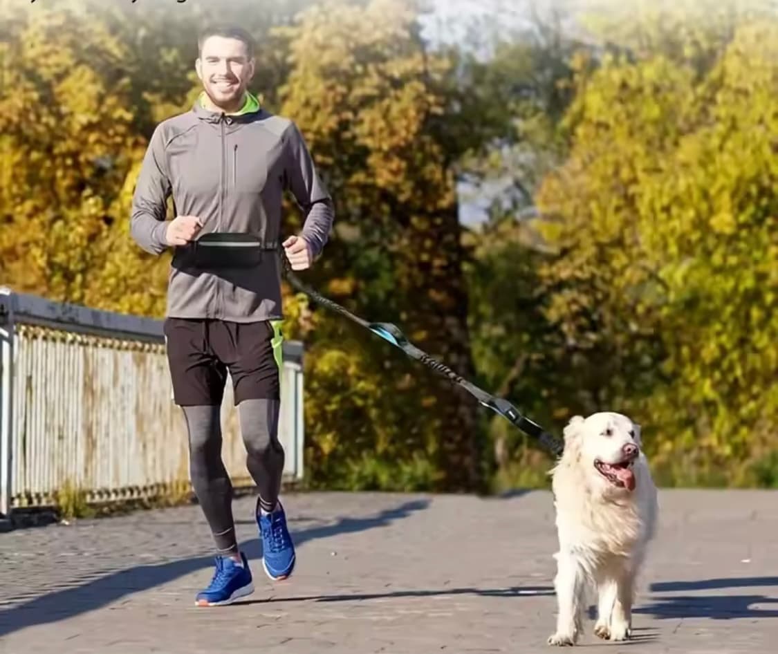 Smycz z amortyzatorem, „Wolne Ręce”